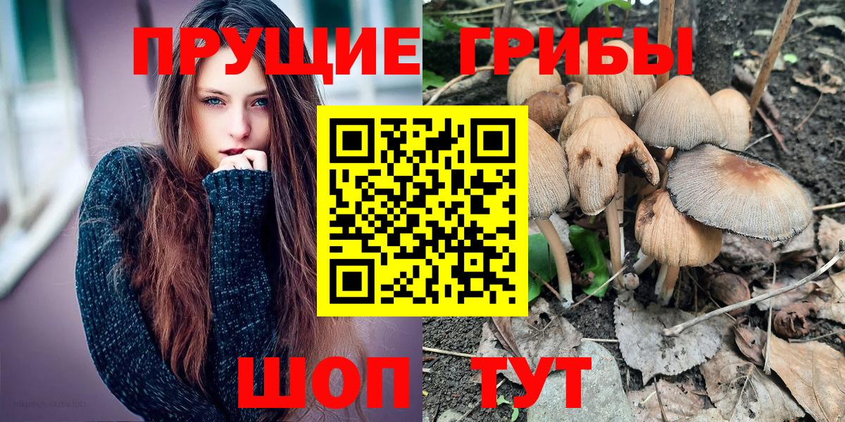 Галлюциногенные грибы ЛСД  Вход с VPN  Энгельс  Галлюциногенные грибы мухоморы 